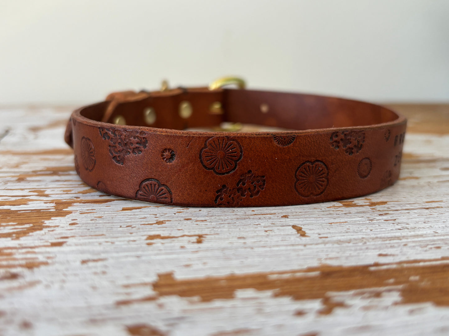 Gilley Identification Collar