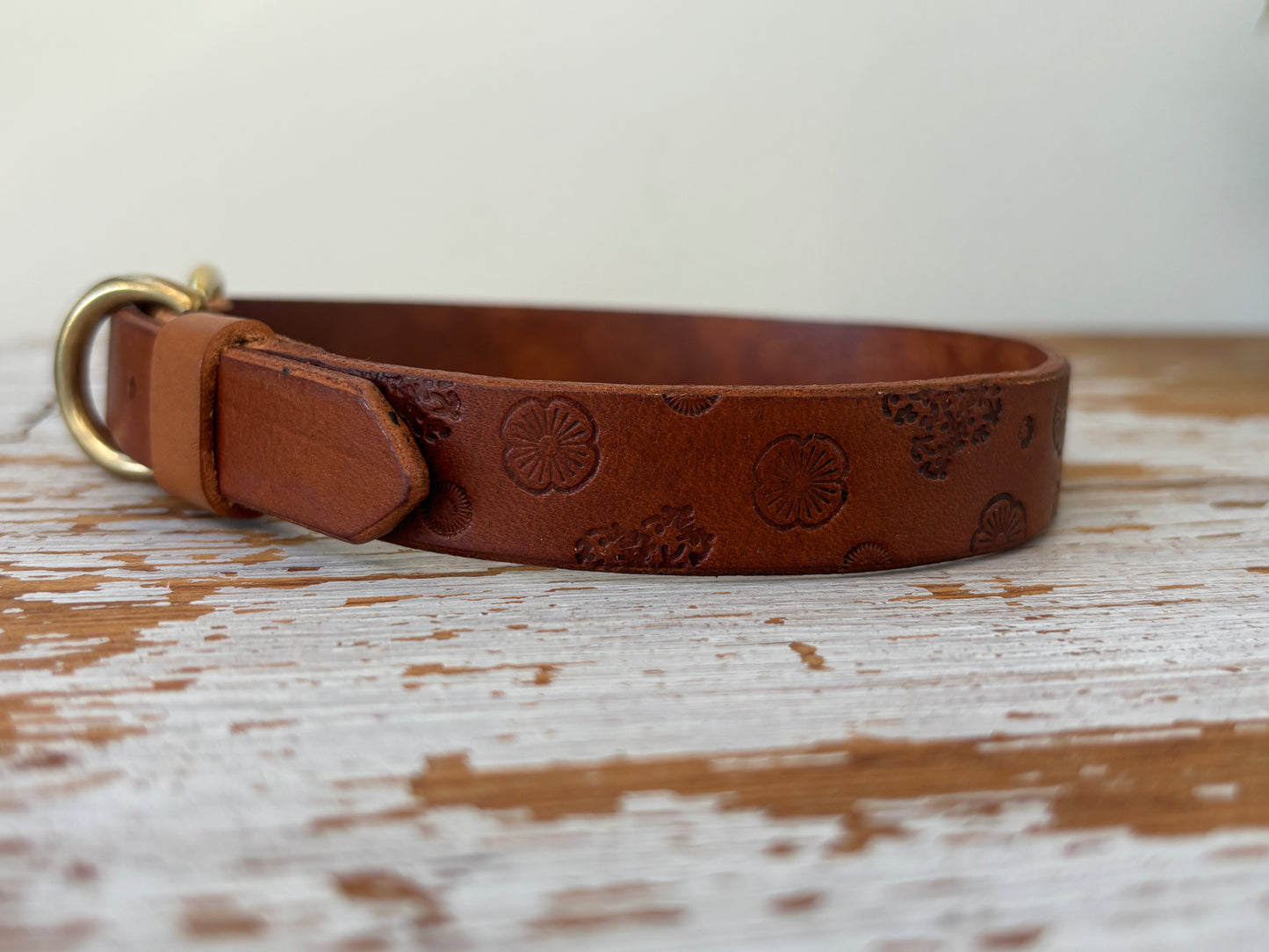 Gilley Identification Collar
