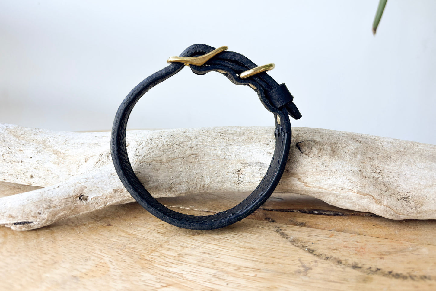 Sullivan Identification Collar