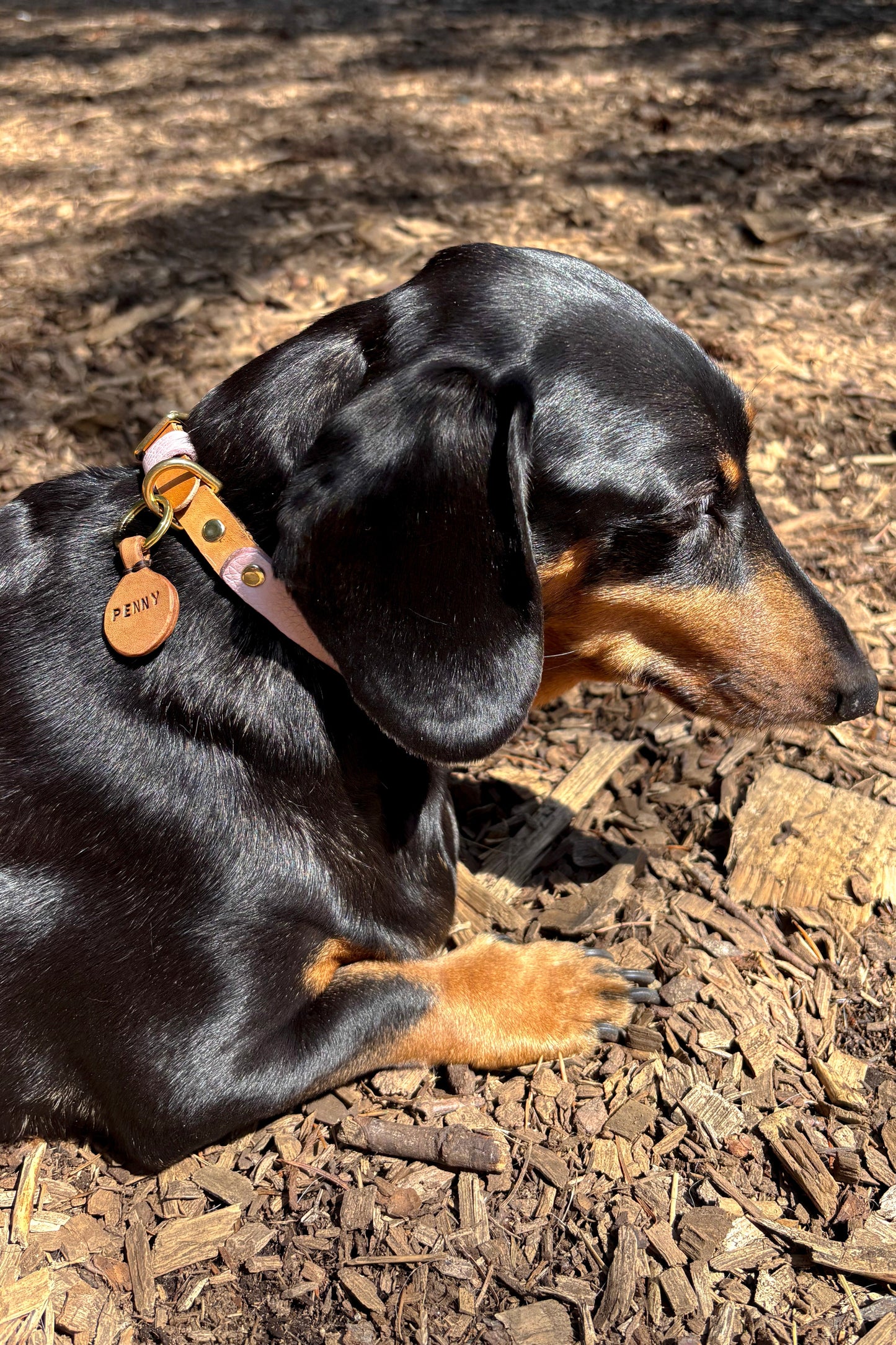 Rustic leather Identification Tag
