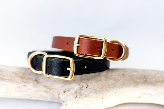 Gilley Identification Collar
