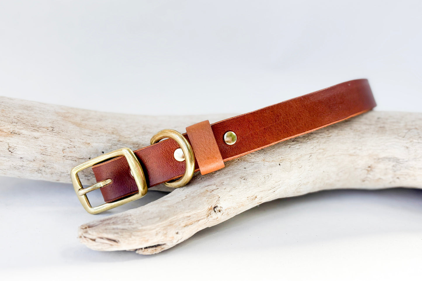Gilley Identification Collar