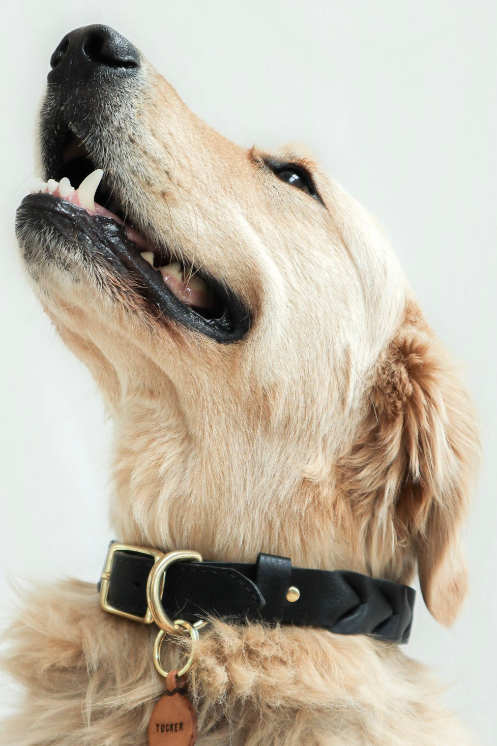 Rustic leather Identification Tag
